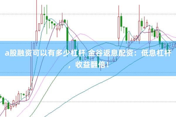 a股融资可以有多少杠杆 金谷返息配资：低息杠杆，收益翻倍！