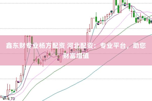 鑫东财专业杨方配资 河北配资：专业平台，助您财富增值