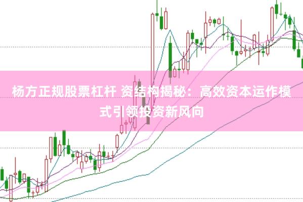 杨方正规股票杠杆 资结构揭秘：高效资本运作模式引领投资新风向