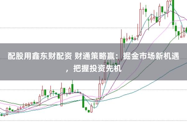 配股用鑫东财配资 财通策略赢：掘金市场新机遇，把握投资先机