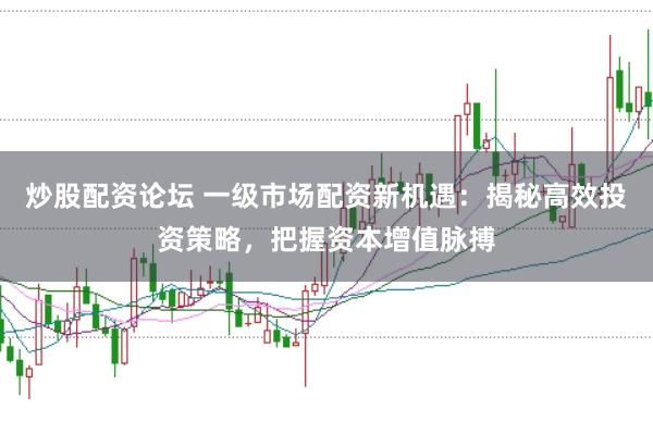 炒股配资论坛 一级市场配资新机遇：揭秘高效投资策略，把握资本增值脉搏