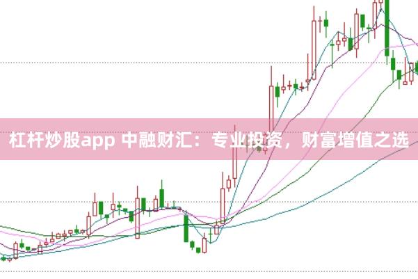 杠杆炒股app 中融财汇：专业投资，财富增值之选