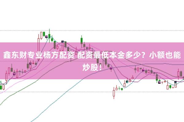 鑫东财专业杨方配资 配资最低本金多少？小额也能炒股！