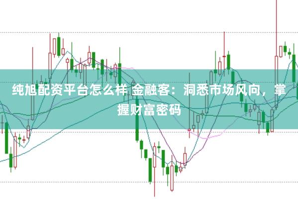 纯旭配资平台怎么样 金融客：洞悉市场风向，掌握财富密码