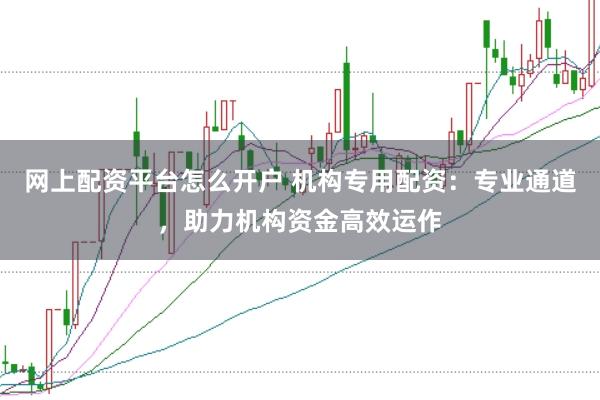 网上配资平台怎么开户 机构专用配资：专业通道，助力机构资金高效运作