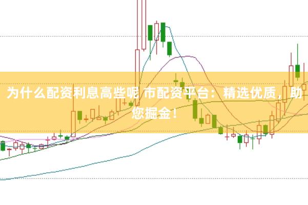 为什么配资利息高些呢 市配资平台：精选优质，助您掘金！