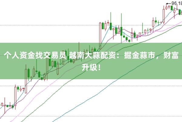 个人资金找交易员 越南大蒜配资：掘金蒜市，财富升级！