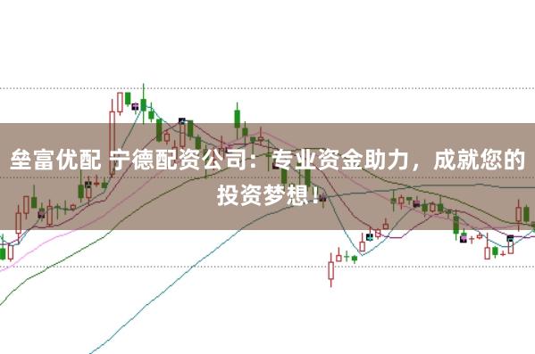 垒富优配 宁德配资公司：专业资金助力，成就您的投资梦想！