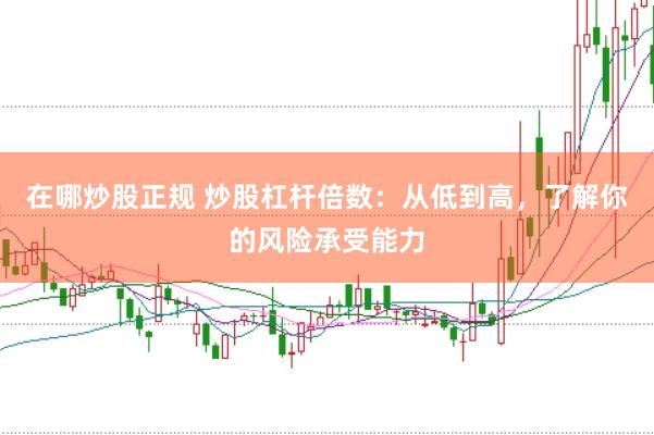 在哪炒股正规 炒股杠杆倍数：从低到高，了解你的风险承受能力