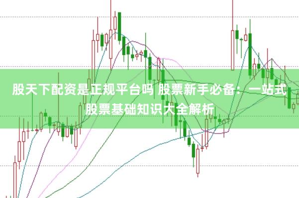 股天下配资是正规平台吗 股票新手必备：一站式股票基础知识大全解析