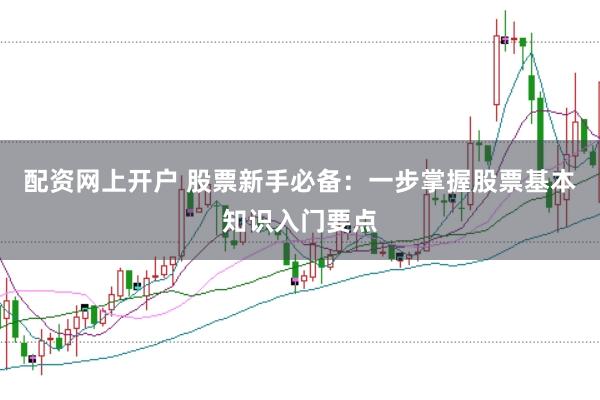 配资网上开户 股票新手必备：一步掌握股票基本知识入门要点