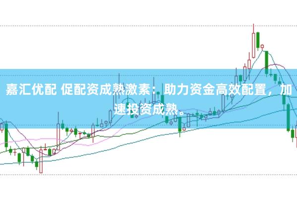 嘉汇优配 促配资成熟激素：助力资金高效配置，加速投资成熟。