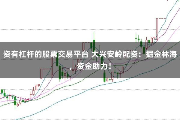 资有杠杆的股票交易平台 大兴安岭配资：掘金林海，资金助力！