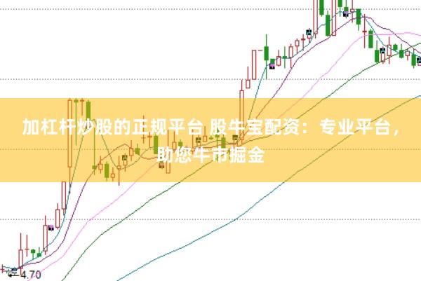 加杠杆炒股的正规平台 股牛宝配资：专业平台，助您牛市掘金