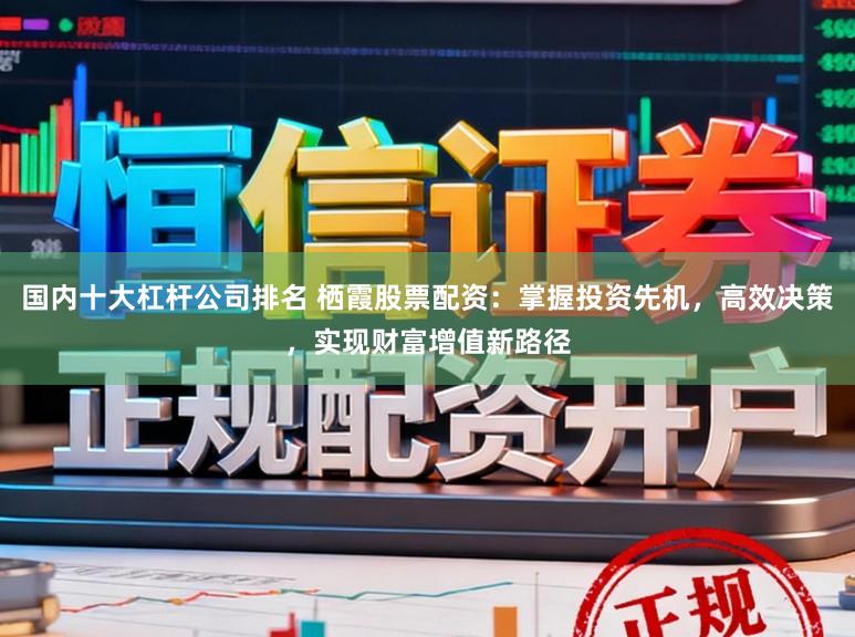 国内十大杠杆公司排名 栖霞股票配资:掌握投资先机,高效决策,实现财富增值新路径