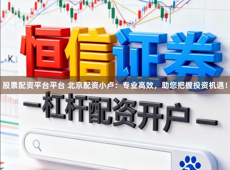 股票配资平台平台 北京配资小卢：专业高效，助您把握投资机遇！